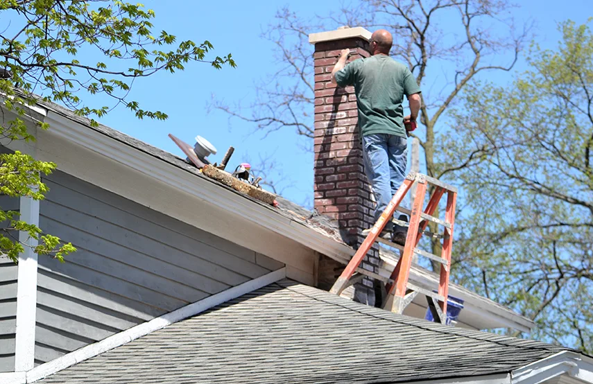 Chimney & Fireplace Inspections Services in Wildwood, MO